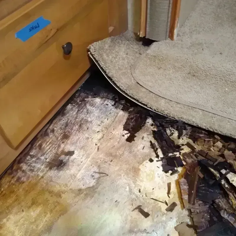 Wood Floor Water Damage in Oakland, MD